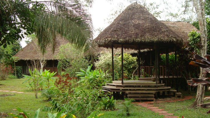 L'Amazonie à Puerto Maldonado